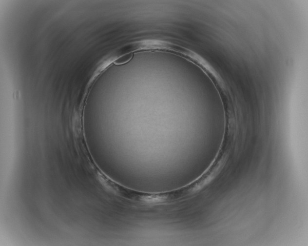 X0000110731145200906121443