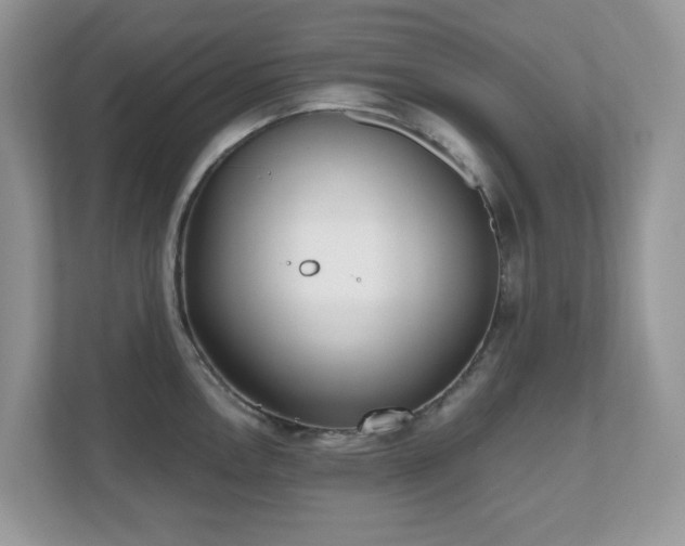 X0000110731146200906121443