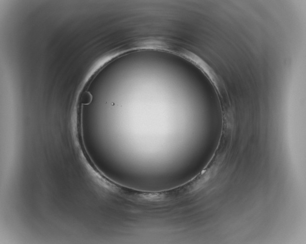X0000110731147200906121443