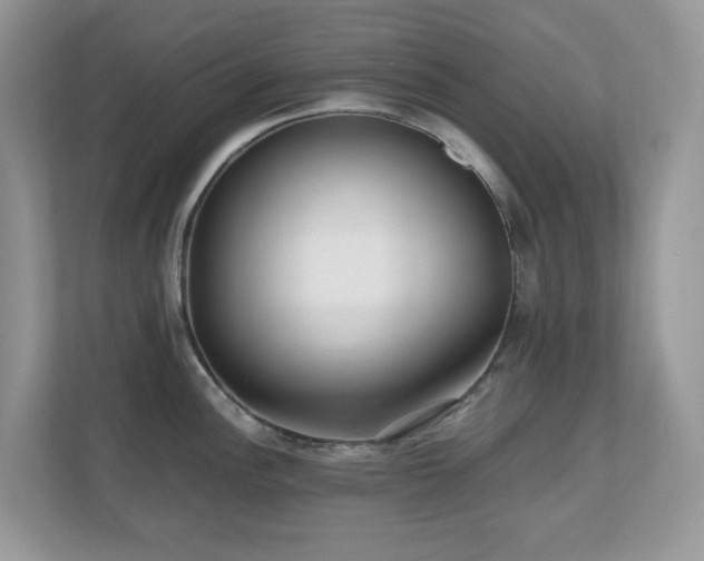 X0000110731148200906121443