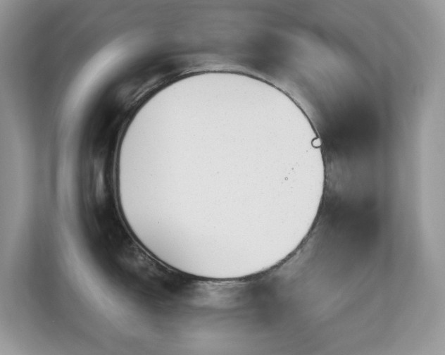 X0000110731150200906121443