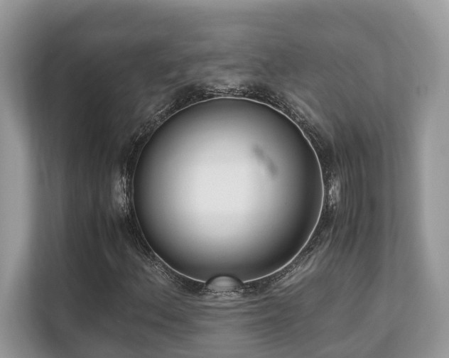 X0000110731156200906121443