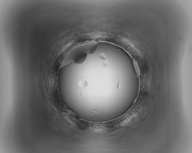 X0000110731157200906121442