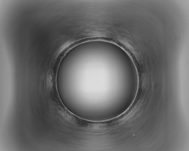 X0000110731163200906121442