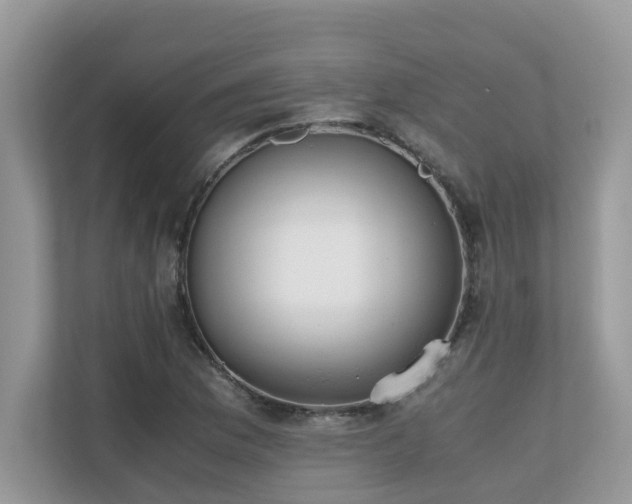 X0000110731169200906121442