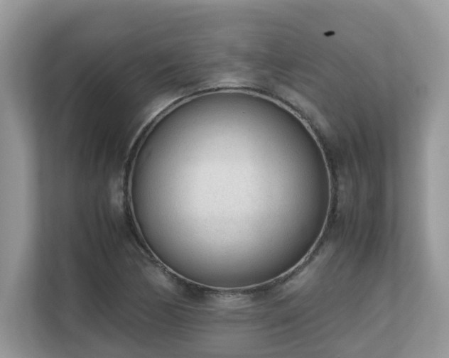 X0000110731170200906121442