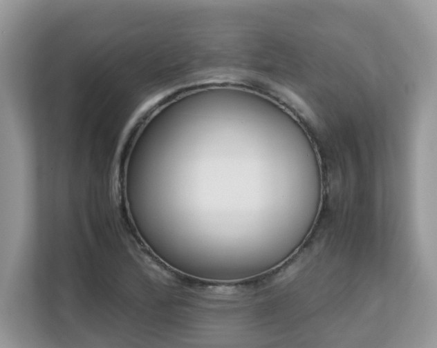 X0000110731172200906121442