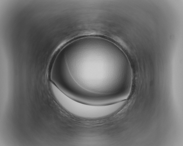 X0000110731173200906121442