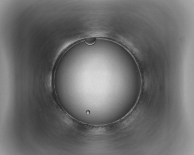 X0000110731174200906121442