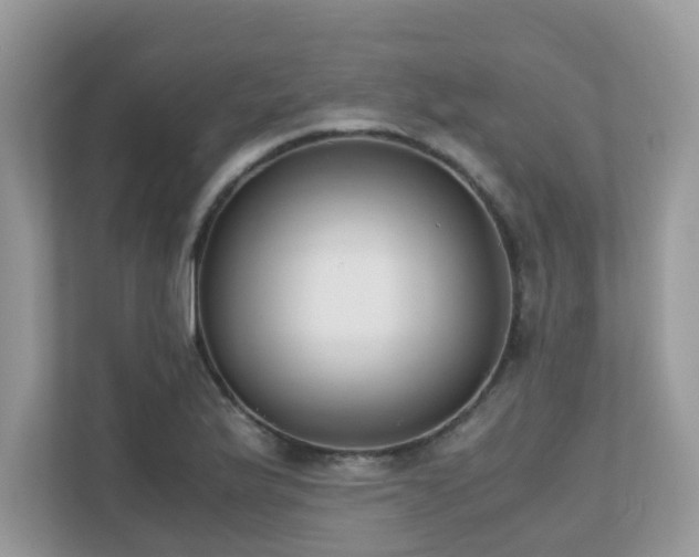 X0000110731175200906121442