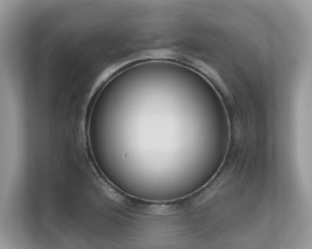 X0000110731176200906121442