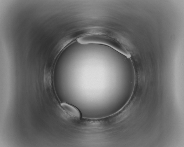 X0000110731177200906121442
