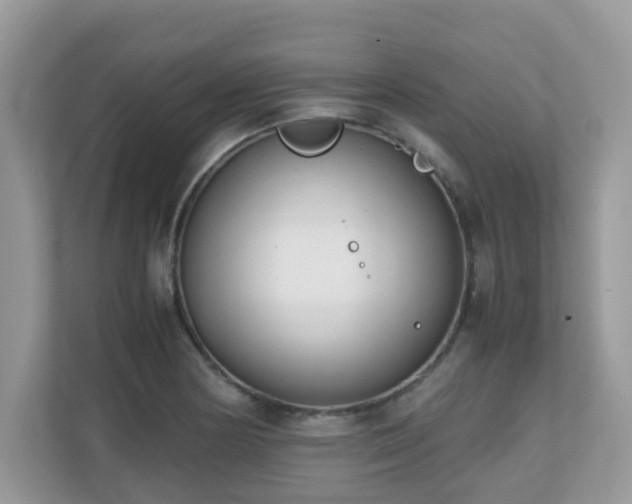 X0000110731178200906121442