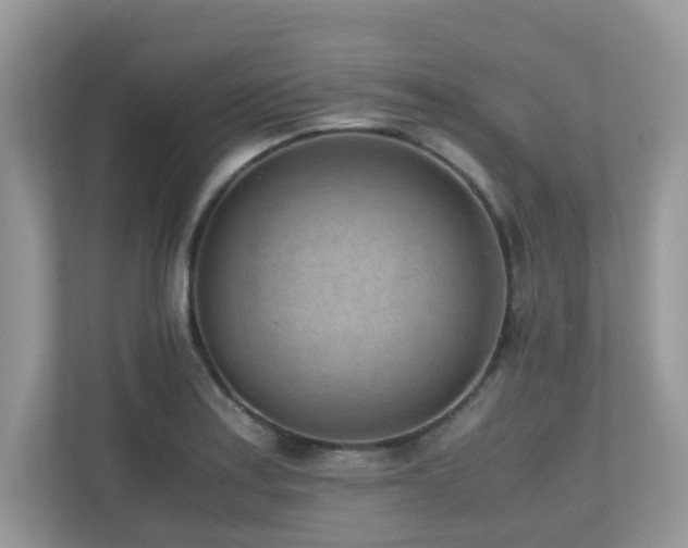 X0000110731179200906121442