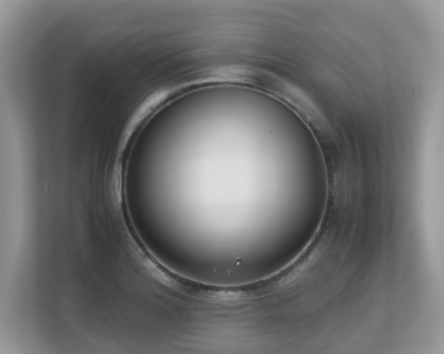 X0000110731180200906121442