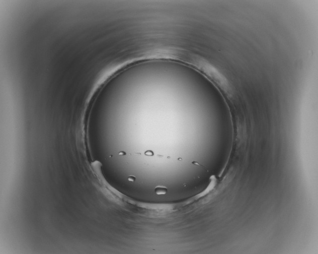X0000110731184200906121442