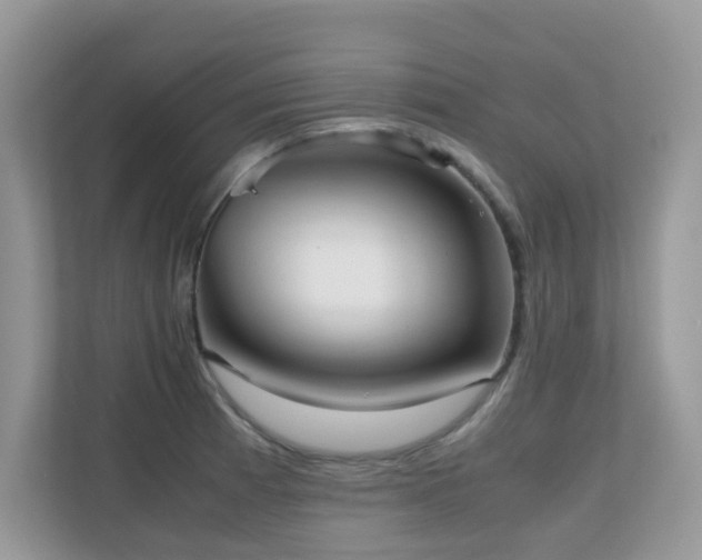 X0000110731185200906121442