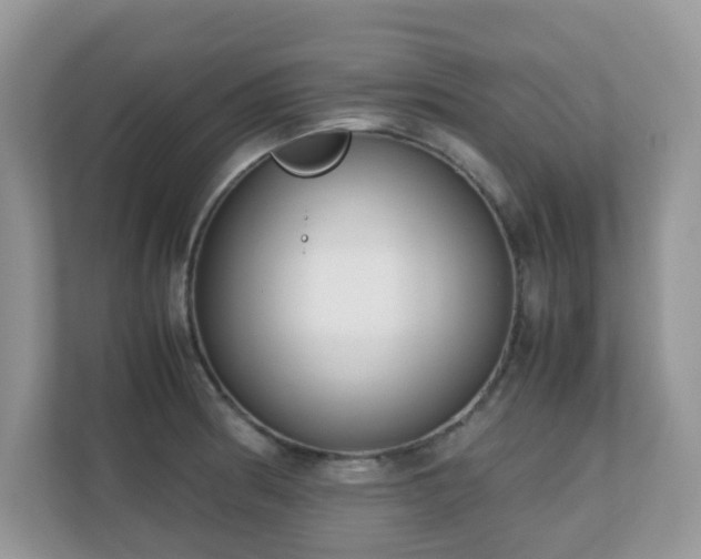 X0000110731186200906121442