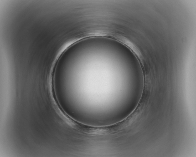 X0000110731187200906121442