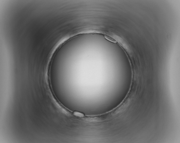 X0000110731189200906121442