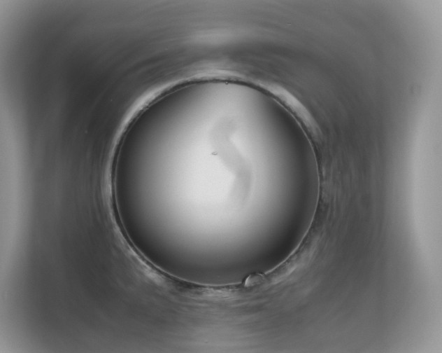 X0000110731191200906121442