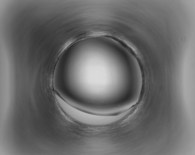 X0000110731193200906121442