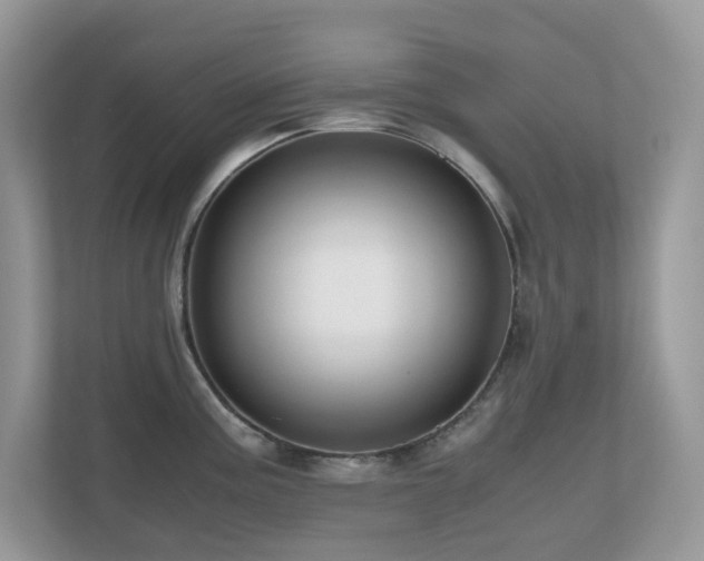 X0000110731195200906121442