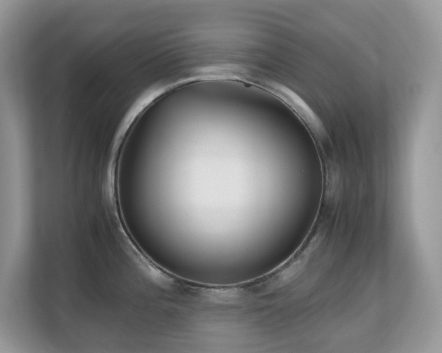 X0000110731196200906121442