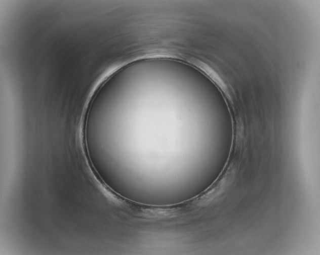 X0000110731197200906121442