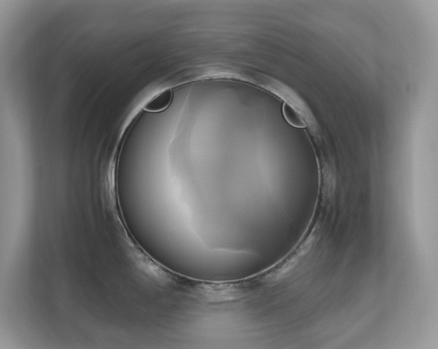 X0000110731198200906121442