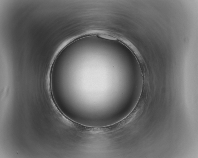 X0000110731199200906121442