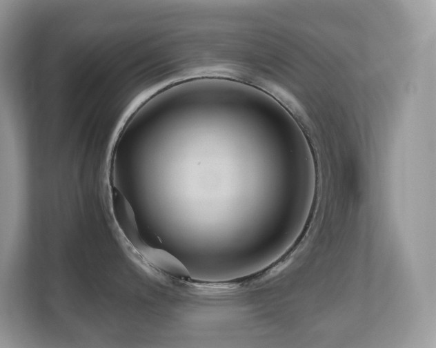 X0000110731200200906121442