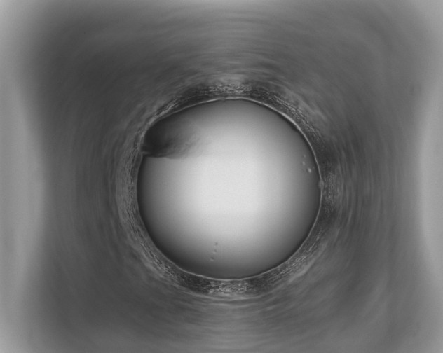 X0000110731201200906121441
