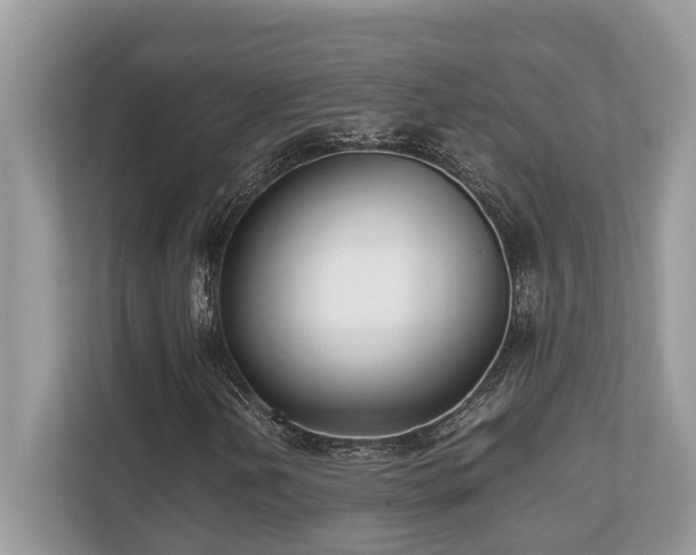 X0000110731202200906121441