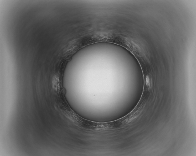 X0000110731203200906121441
