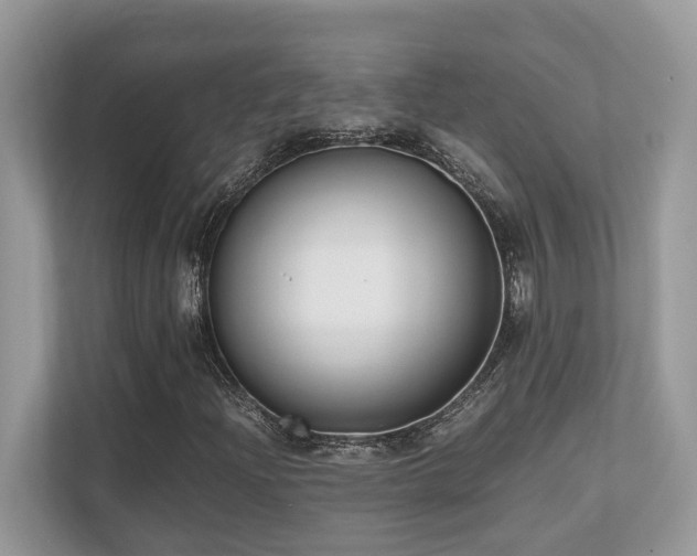 X0000110731204200906121441