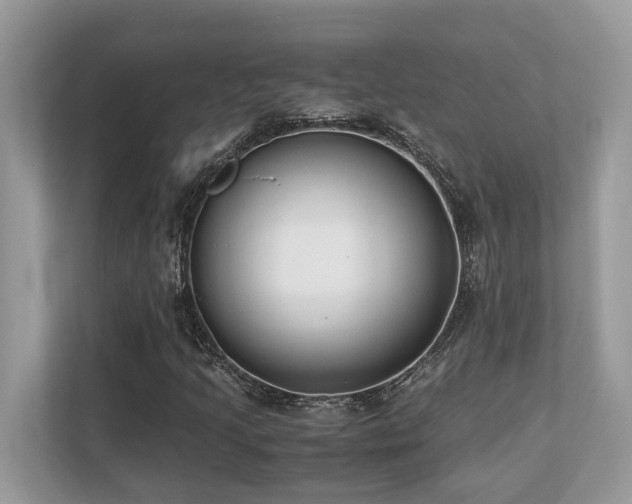 X0000110731205200906121441