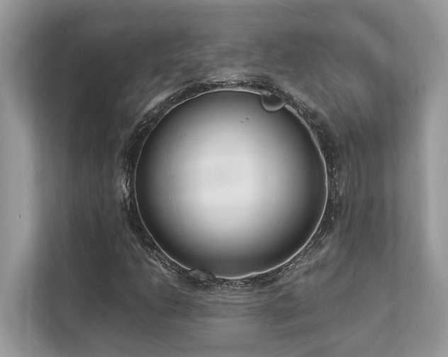 X0000110731206200906121441