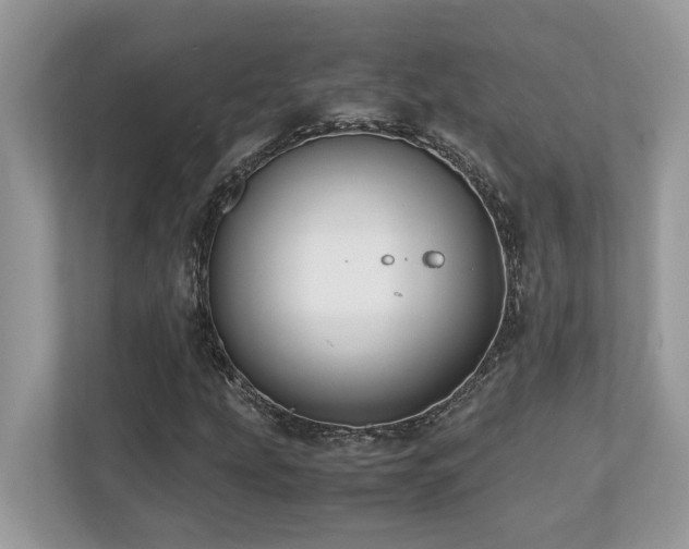 X0000110731207200906121441