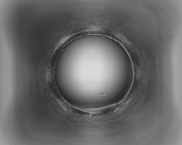 X0000110731208200906121441
