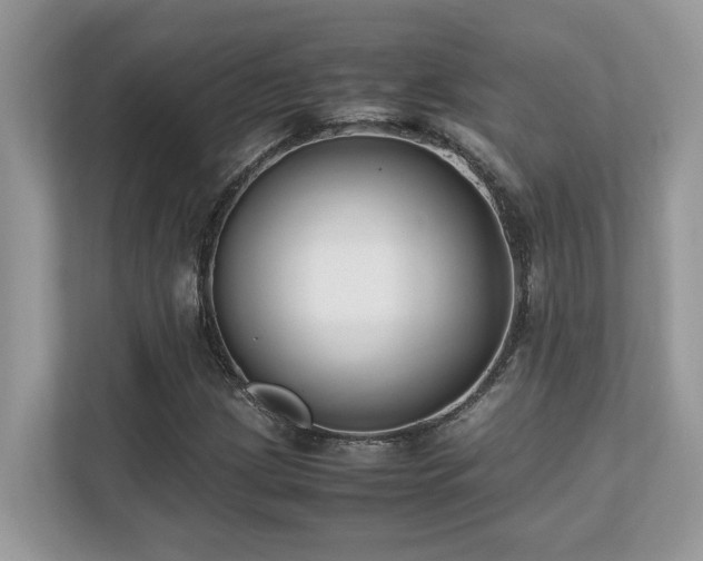 X0000110731209200906121441