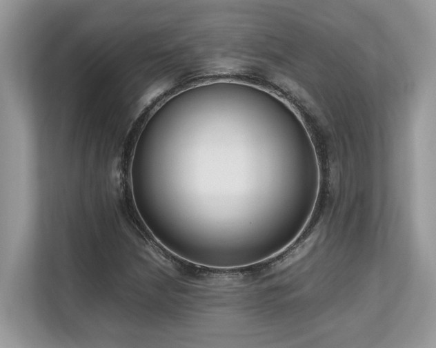 X0000110731210200906121441