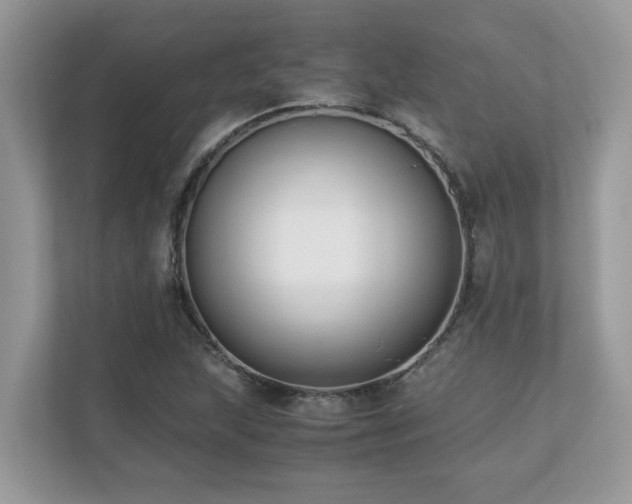 X0000110731215200906121441