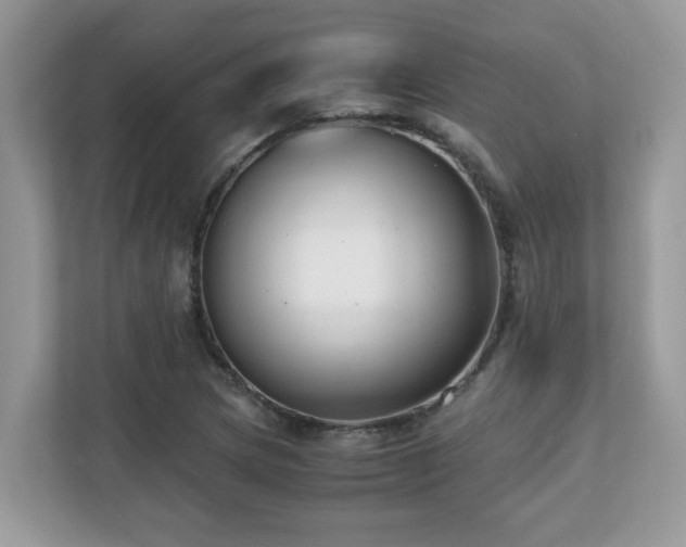 X0000110731217200906121441