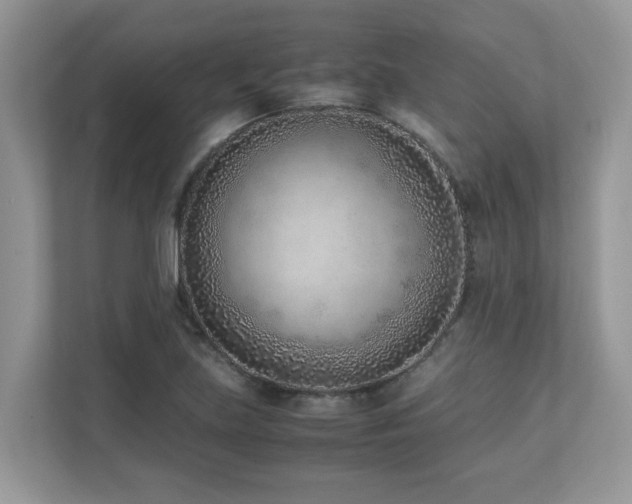 X0000110731219200906121441