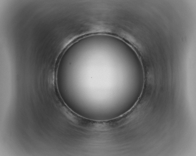 X0000110731220200906121441