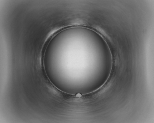 X0000110731222200906121441