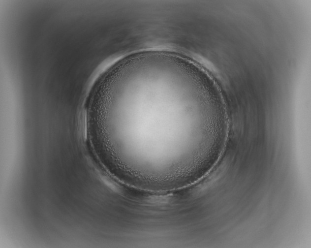 X0000110731223200906121441
