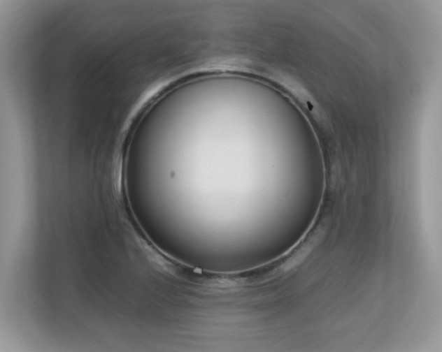 X0000110731224200906121441