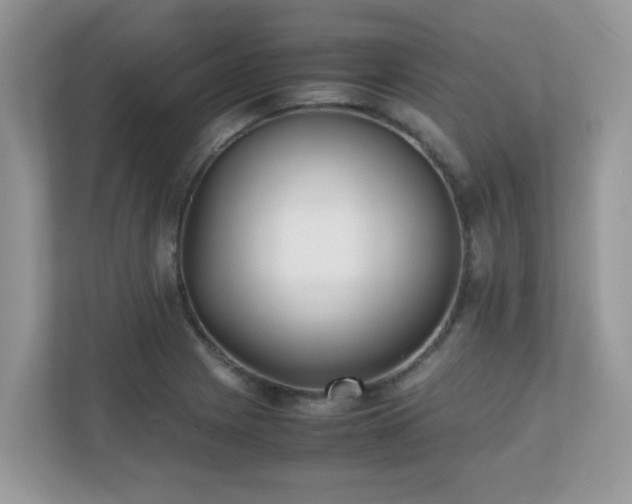 X0000110731225200906121441